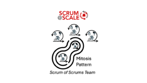 Using Mitosis To Create Scrum Of Scrums Team with Scrum@Scale Framework